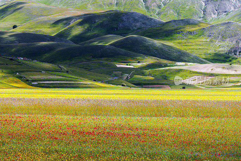 Piano Grande di Castelluccio(意大利)，绿色山丘上的村庄